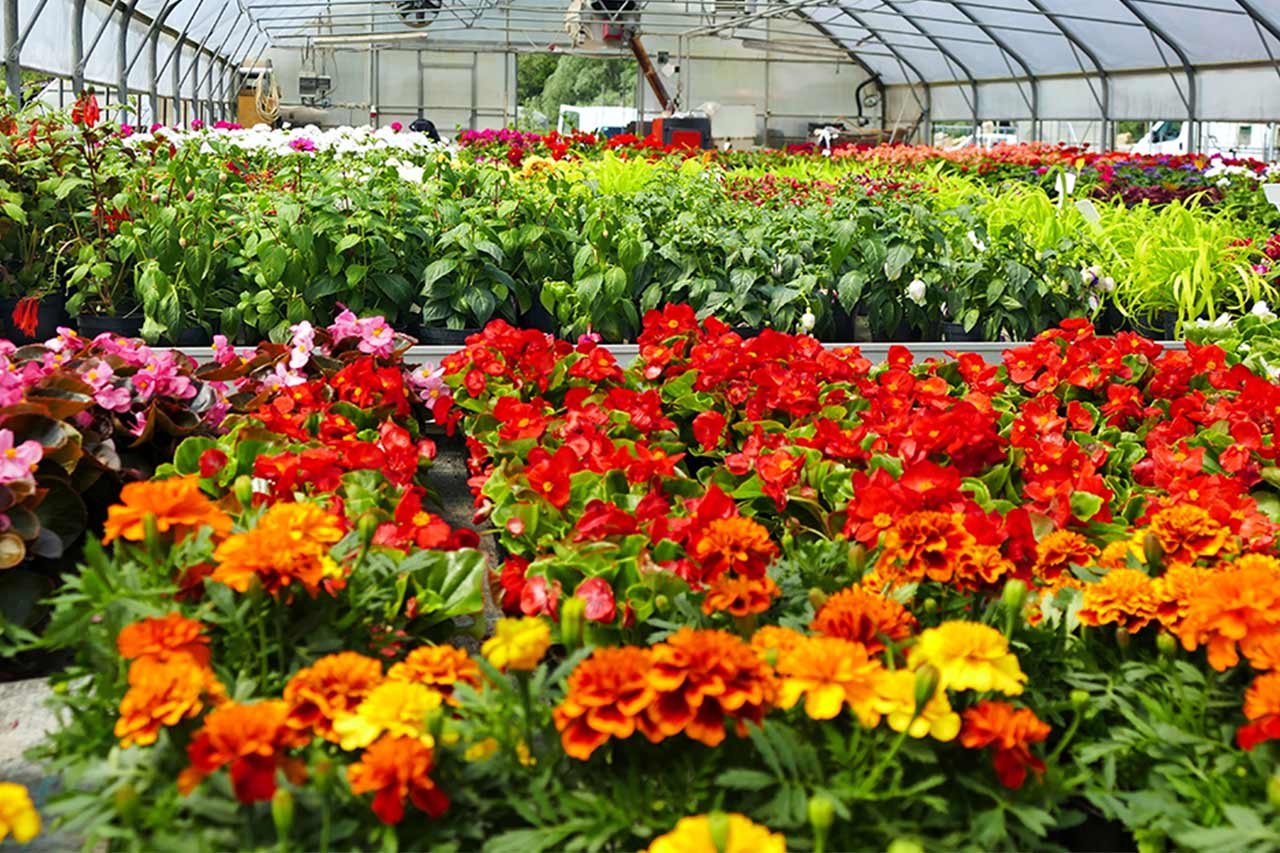 Horticultural Products