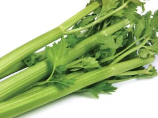 Celery