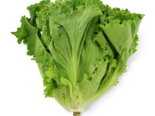Chinese-Lettuce