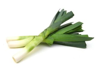 Leek