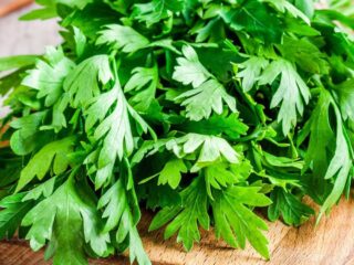 Parsley-Fresh