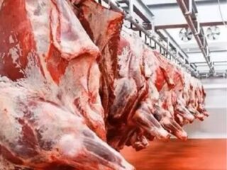 fresh-chilled-goat-mutton-carcass